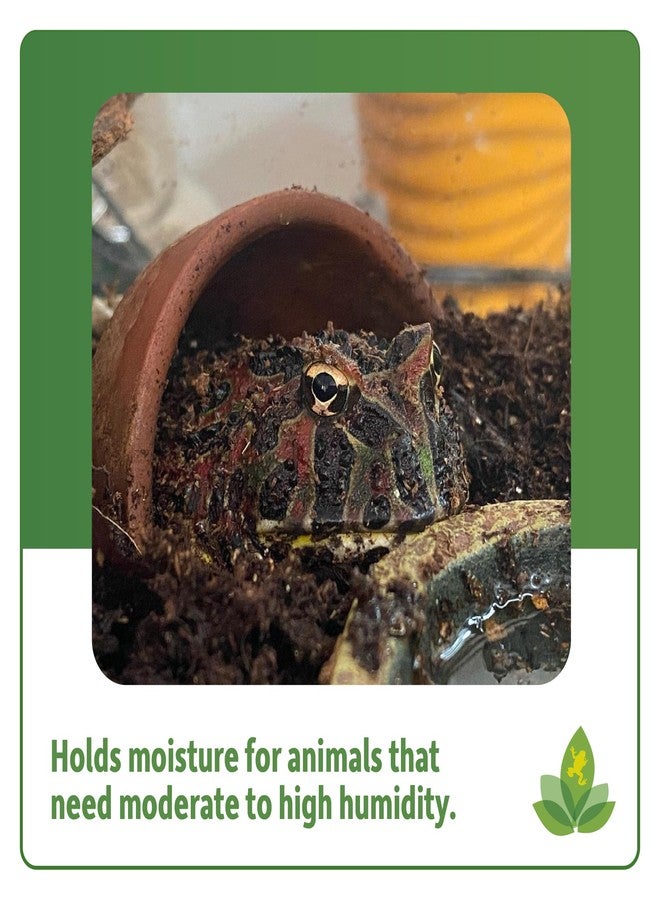 Josh's Frogs Coco Cradle Disks (6 x 1 Quart Disks) - Image 4